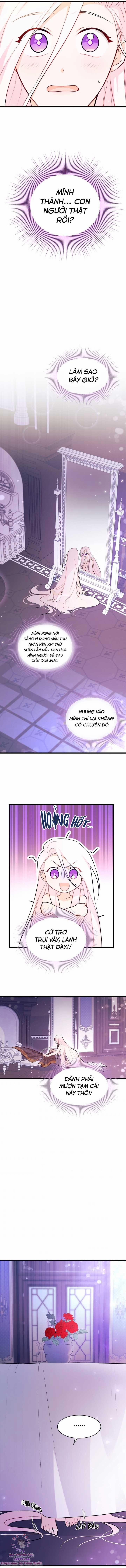 Quan Hệ Cộng Sinh Giữa Hắc Báo Và Bạch Thỏ 19 trang 7