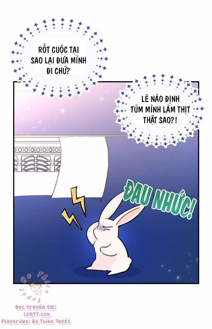 Quan Hệ Cộng Sinh Giữa Hắc Báo Và Bạch Thỏ 2 trang 10