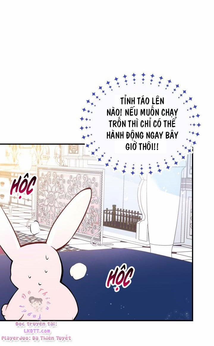 Quan Hệ Cộng Sinh Giữa Hắc Báo Và Bạch Thỏ 2 trang 13