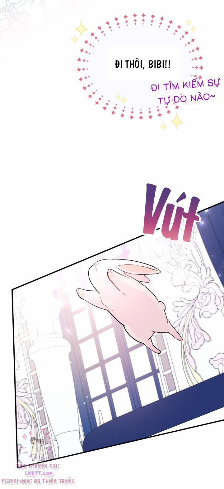 Quan Hệ Cộng Sinh Giữa Hắc Báo Và Bạch Thỏ 2 trang 15