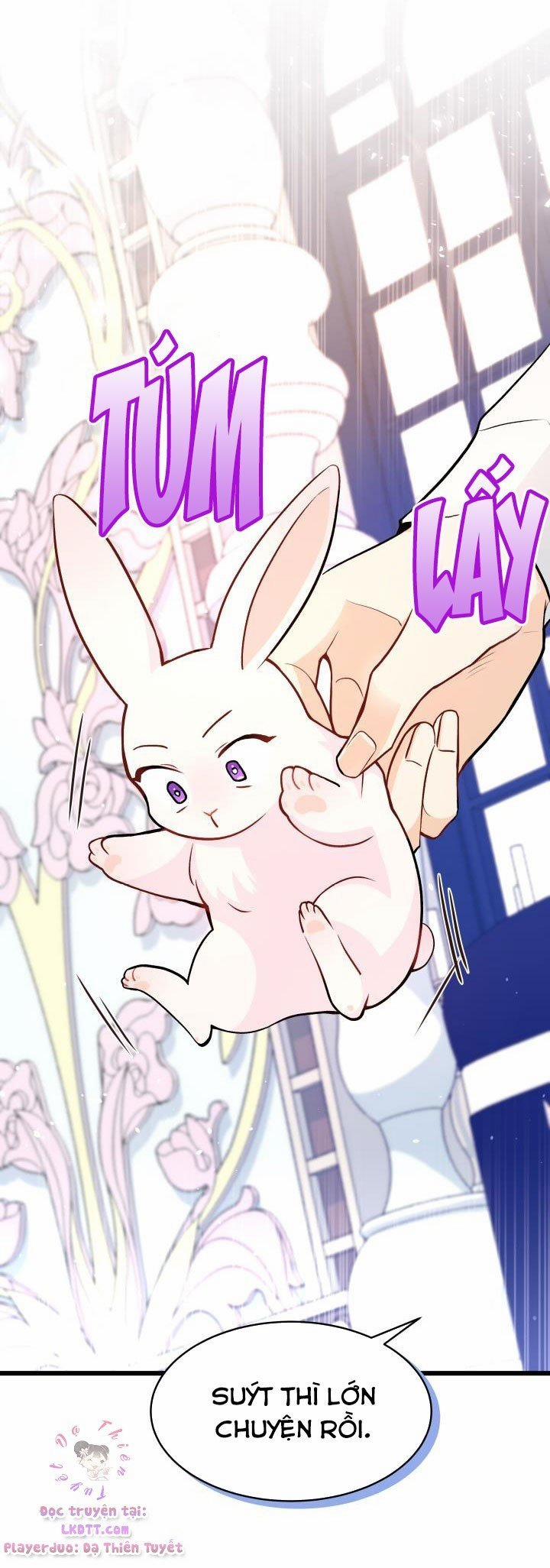 Quan Hệ Cộng Sinh Giữa Hắc Báo Và Bạch Thỏ 2 trang 17