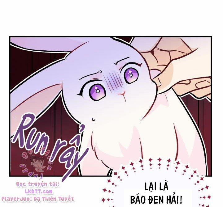 Quan Hệ Cộng Sinh Giữa Hắc Báo Và Bạch Thỏ 2 trang 21