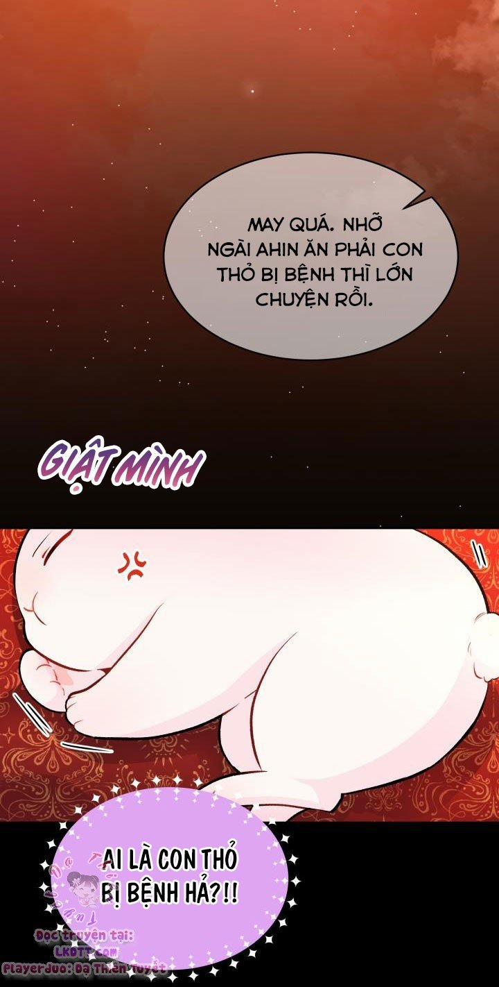 Quan Hệ Cộng Sinh Giữa Hắc Báo Và Bạch Thỏ 2 trang 33