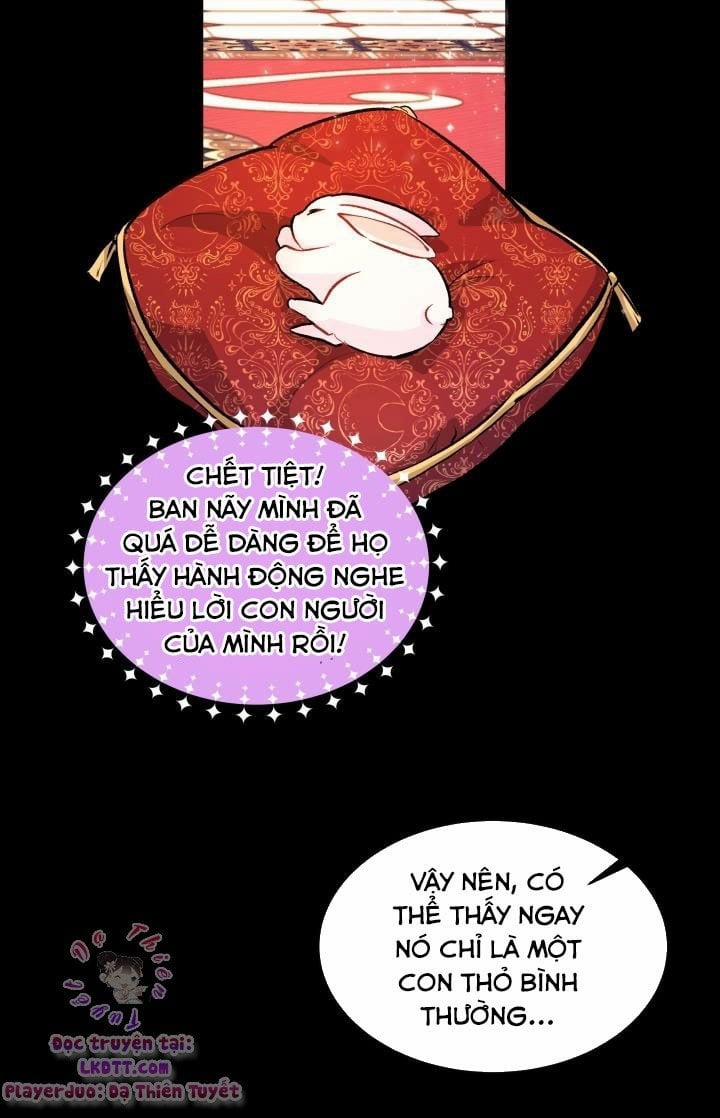 Quan Hệ Cộng Sinh Giữa Hắc Báo Và Bạch Thỏ 2 trang 37