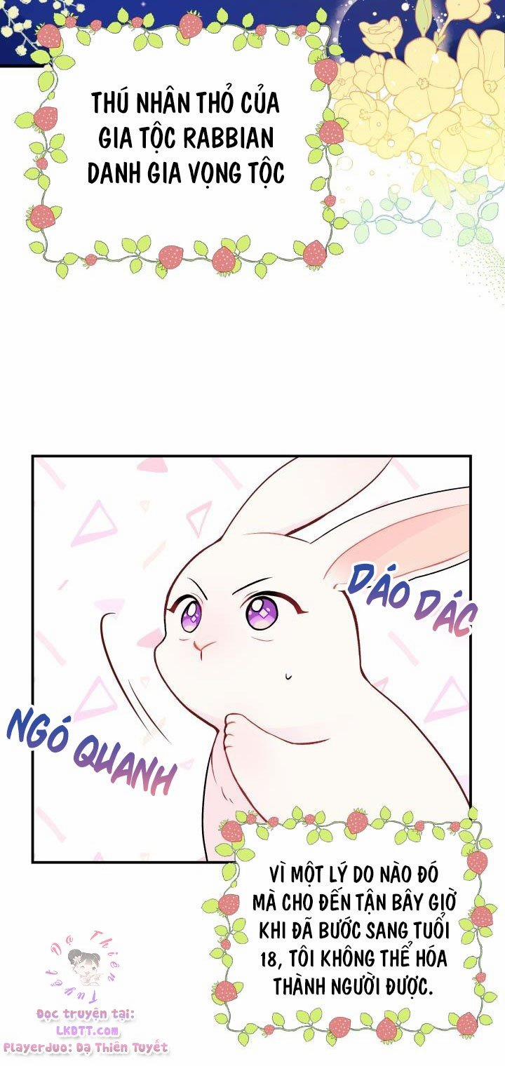 Quan Hệ Cộng Sinh Giữa Hắc Báo Và Bạch Thỏ 2 trang 4