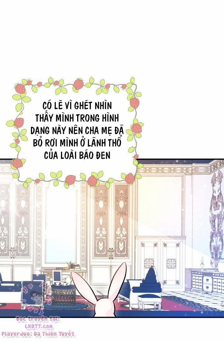 Quan Hệ Cộng Sinh Giữa Hắc Báo Và Bạch Thỏ 2 trang 5