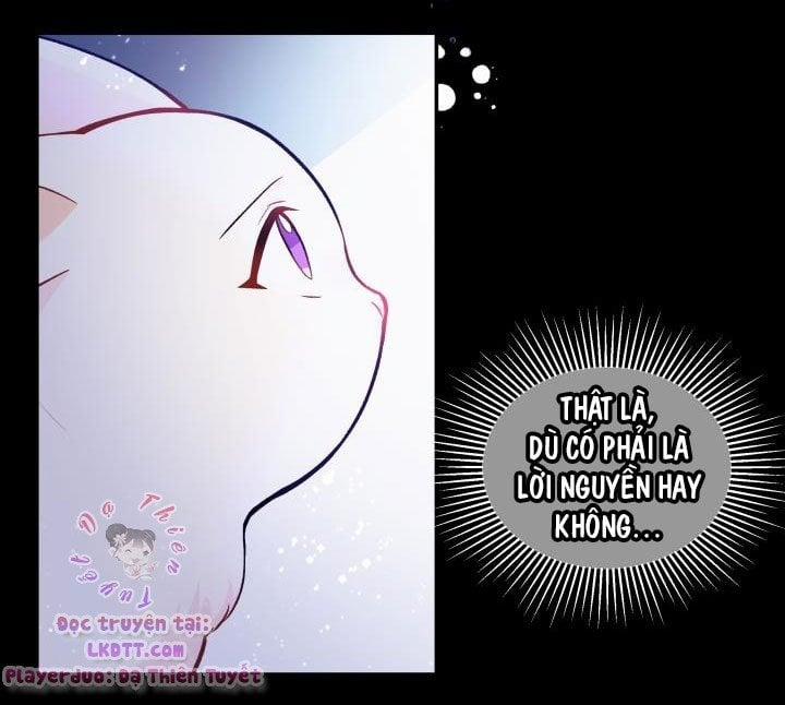 Quan Hệ Cộng Sinh Giữa Hắc Báo Và Bạch Thỏ 2 trang 77