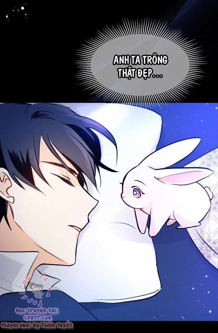 Quan Hệ Cộng Sinh Giữa Hắc Báo Và Bạch Thỏ 2 trang 80