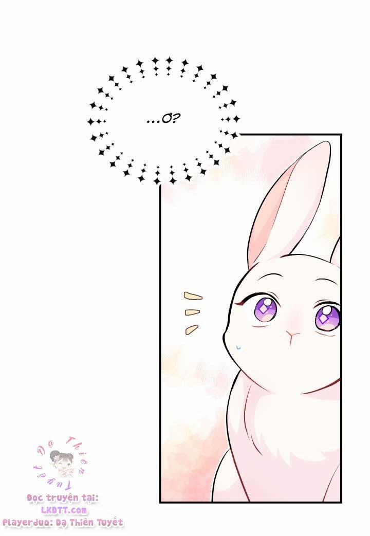 Quan Hệ Cộng Sinh Giữa Hắc Báo Và Bạch Thỏ 3 trang 46