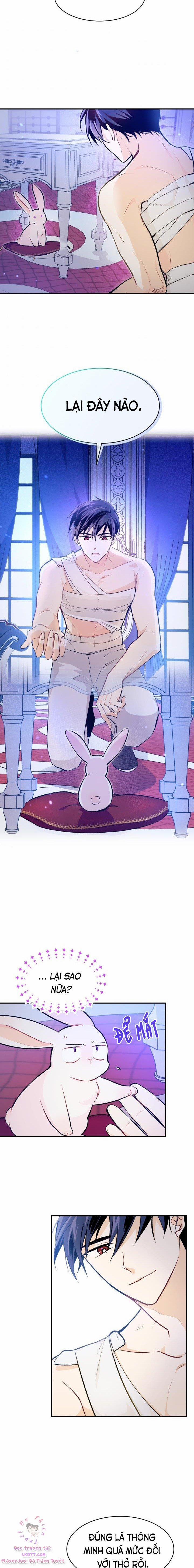 Quan Hệ Cộng Sinh Giữa Hắc Báo Và Bạch Thỏ 4 trang 11