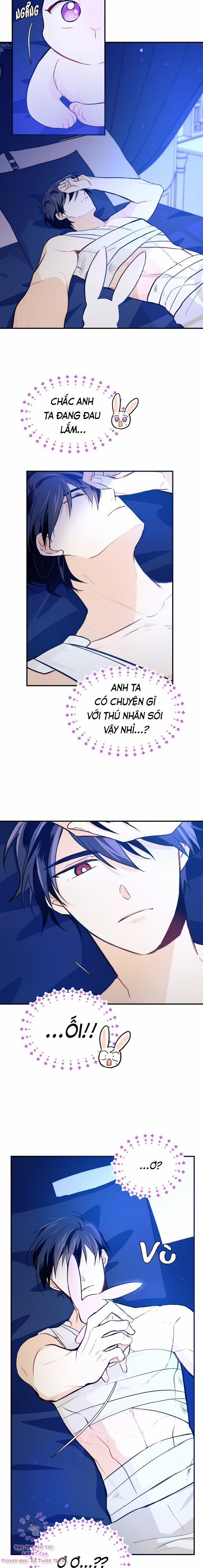 Quan Hệ Cộng Sinh Giữa Hắc Báo Và Bạch Thỏ 4 trang 16