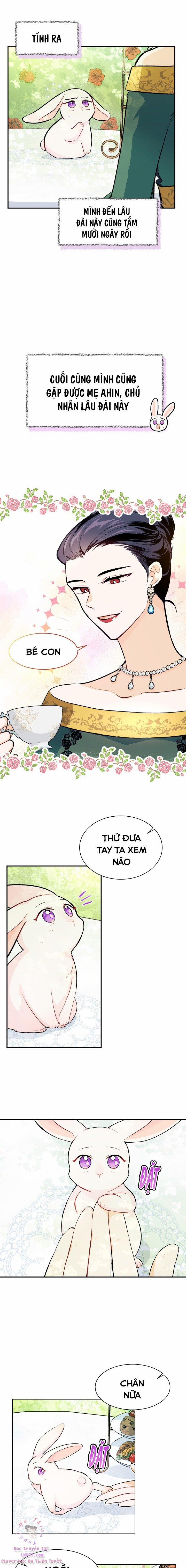 Quan Hệ Cộng Sinh Giữa Hắc Báo Và Bạch Thỏ 5 trang 7