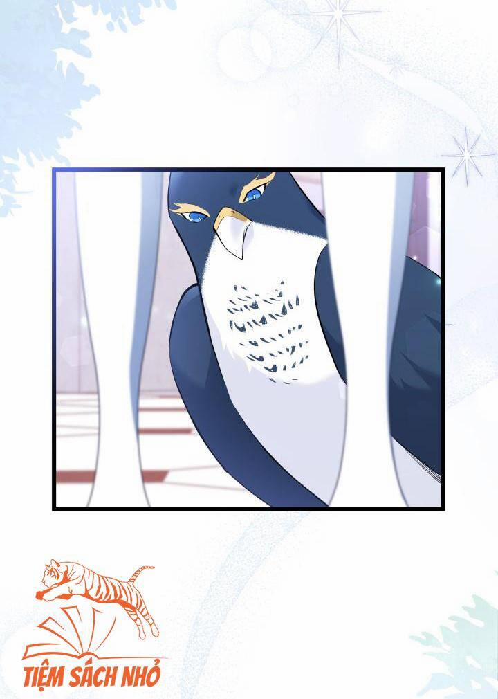 Quan Hệ Cộng Sinh Giữa Hắc Báo Và Bạch Thỏ 57 trang 16