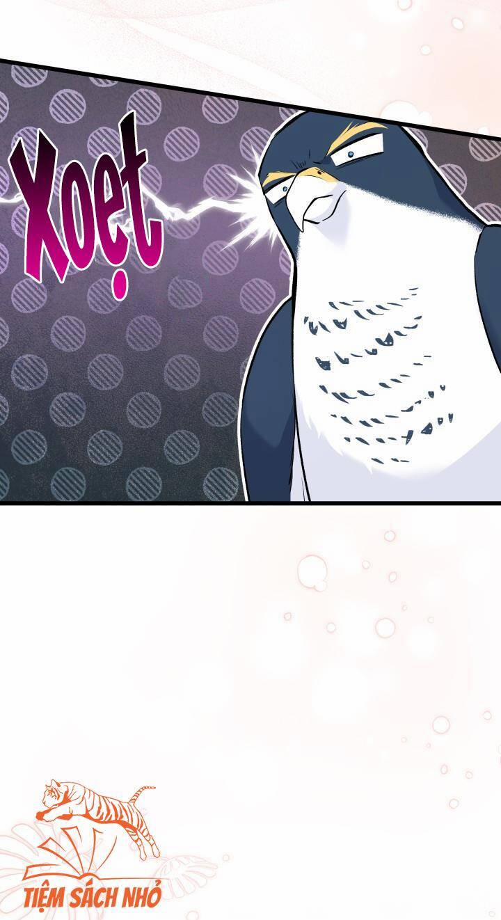 Quan Hệ Cộng Sinh Giữa Hắc Báo Và Bạch Thỏ 57 trang 8