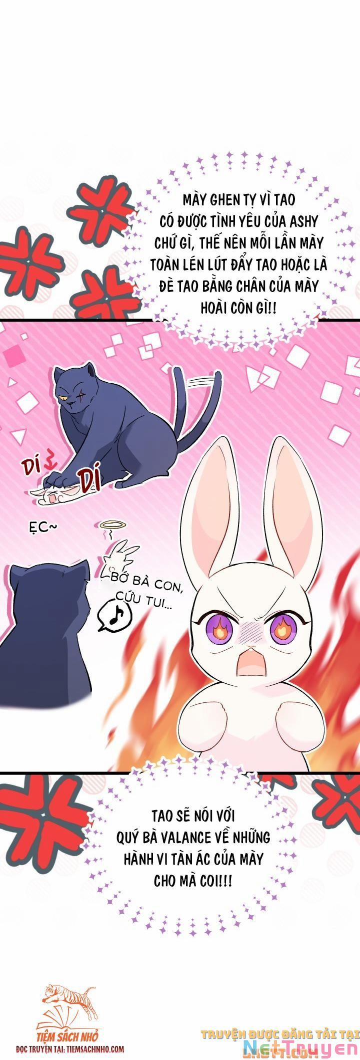 Quan Hệ Cộng Sinh Giữa Hắc Báo Và Bạch Thỏ 58 trang 10