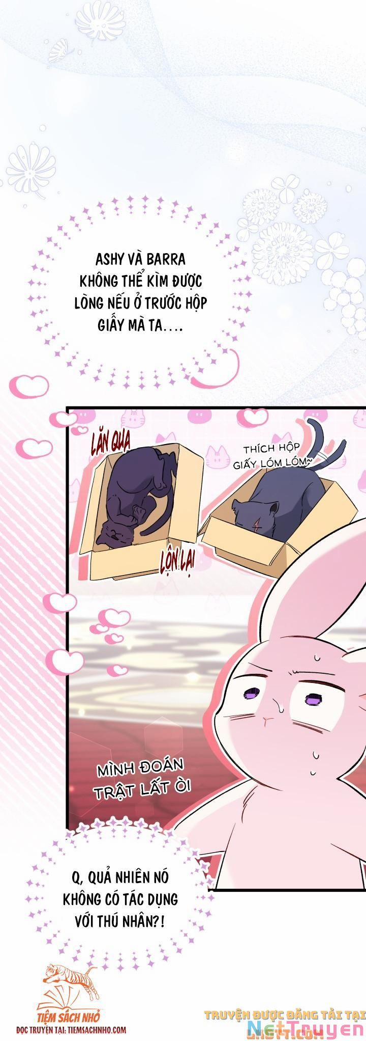 Quan Hệ Cộng Sinh Giữa Hắc Báo Và Bạch Thỏ 58 trang 34