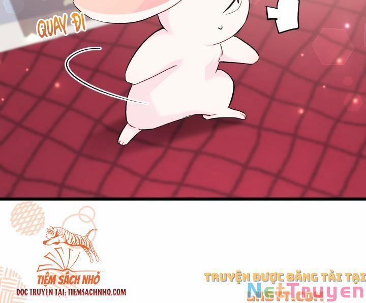 Quan Hệ Cộng Sinh Giữa Hắc Báo Và Bạch Thỏ 58 trang 38