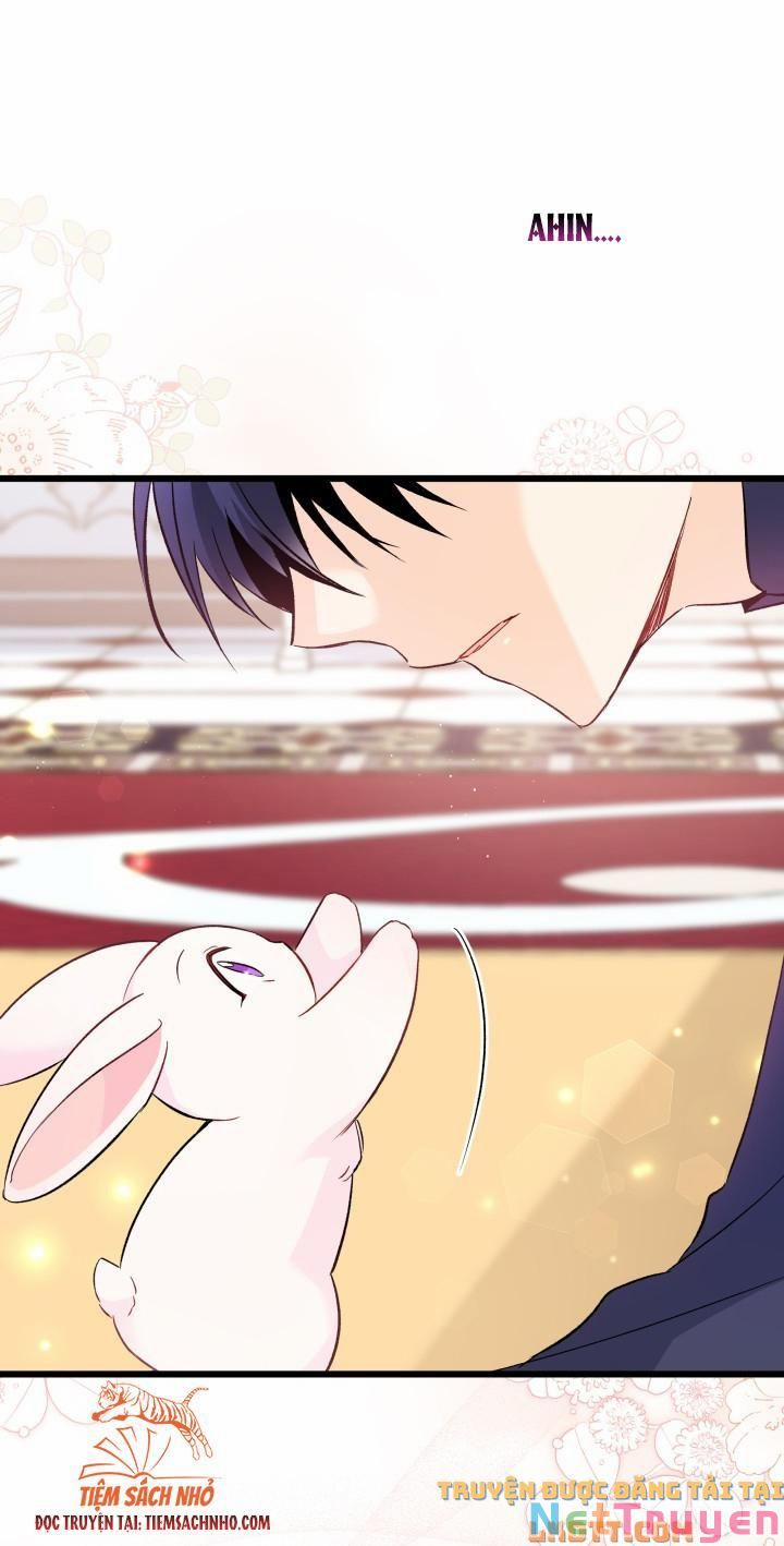 Quan Hệ Cộng Sinh Giữa Hắc Báo Và Bạch Thỏ 58 trang 66