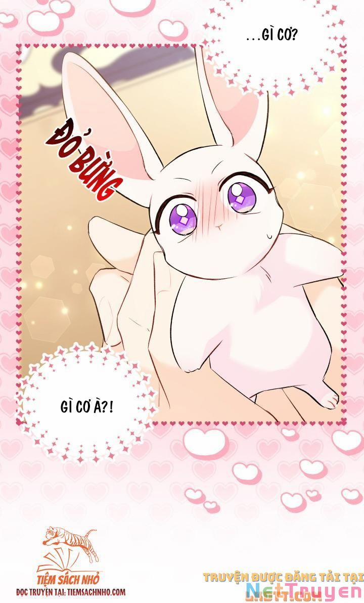 Quan Hệ Cộng Sinh Giữa Hắc Báo Và Bạch Thỏ 58 trang 71