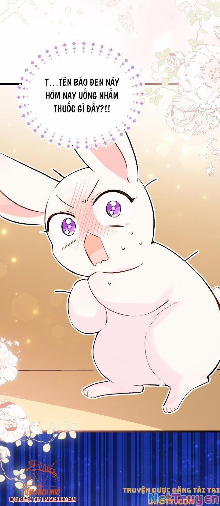 Quan Hệ Cộng Sinh Giữa Hắc Báo Và Bạch Thỏ 58 trang 81