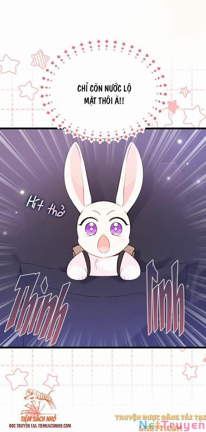 Quan Hệ Cộng Sinh Giữa Hắc Báo Và Bạch Thỏ 59 trang 14