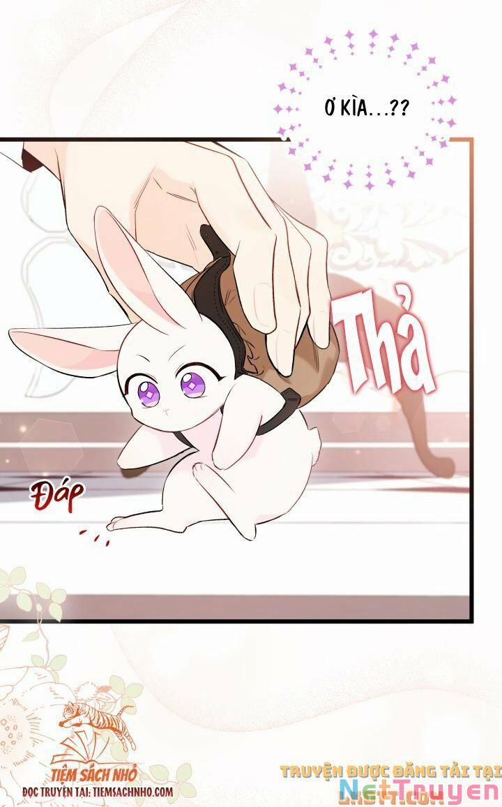 Quan Hệ Cộng Sinh Giữa Hắc Báo Và Bạch Thỏ 59 trang 21