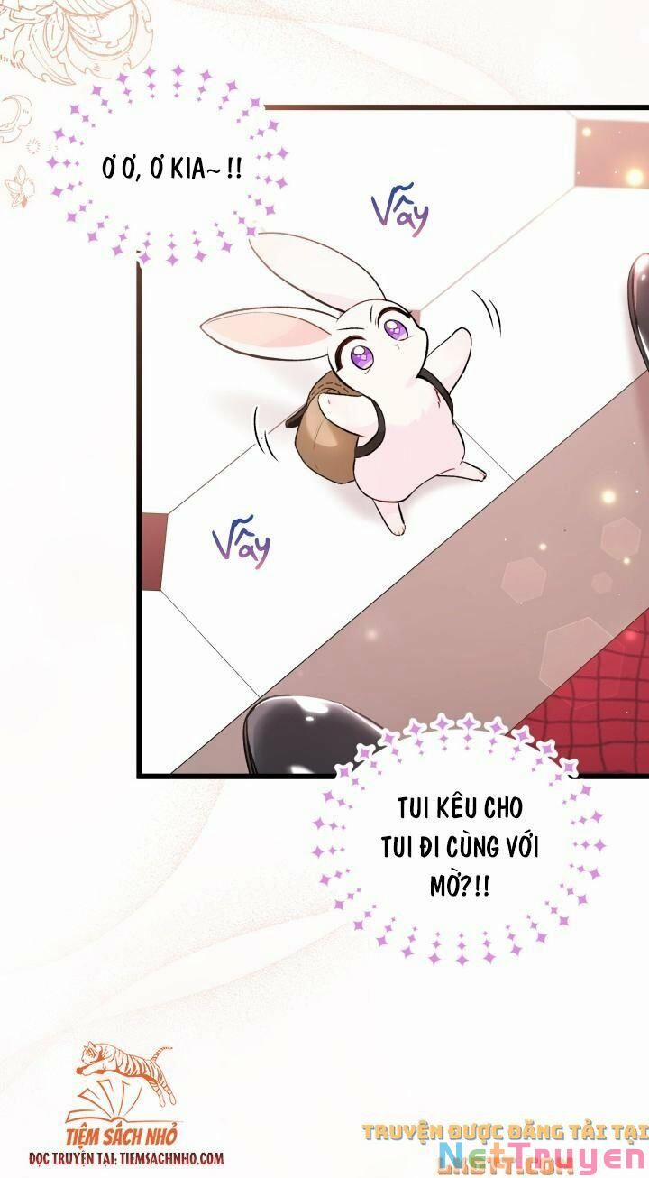 Quan Hệ Cộng Sinh Giữa Hắc Báo Và Bạch Thỏ 59 trang 22