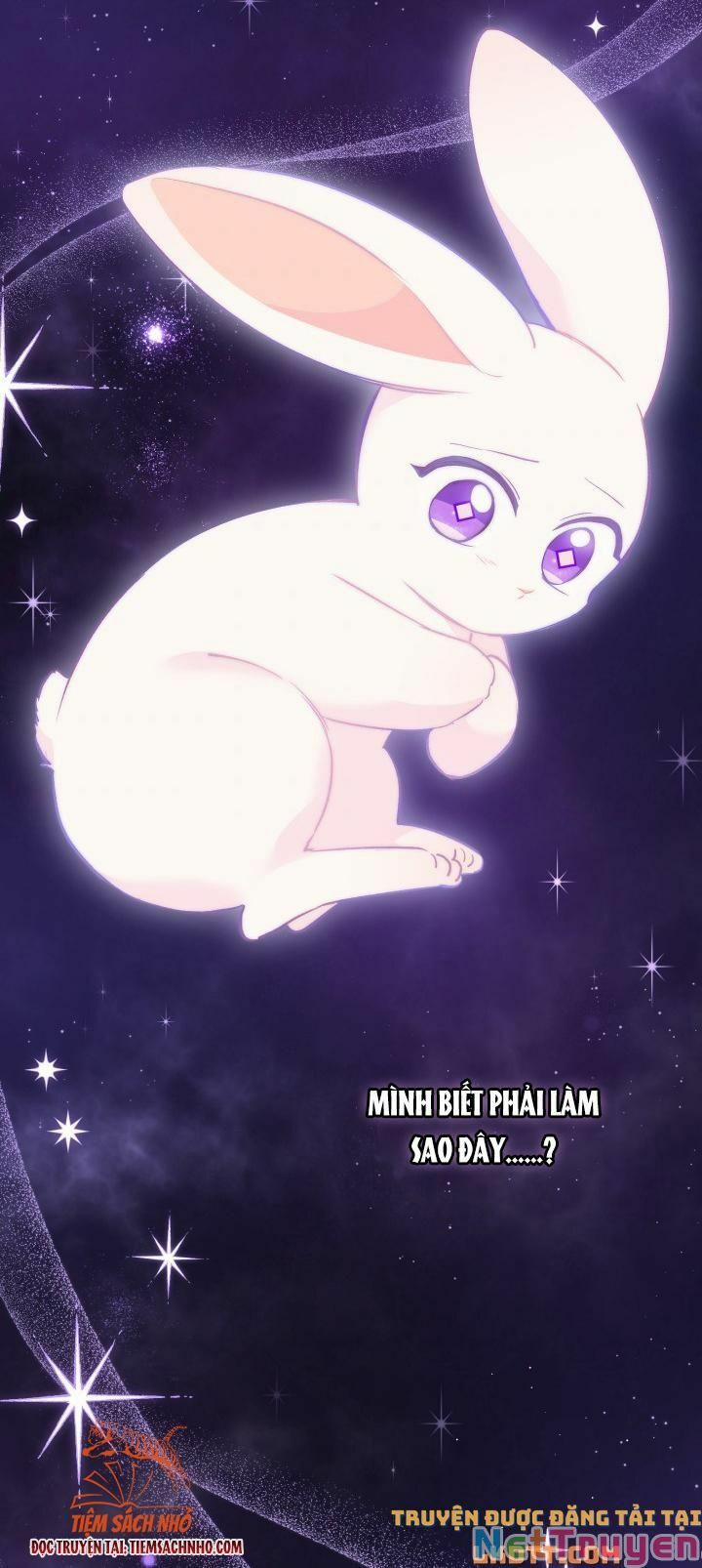 Quan Hệ Cộng Sinh Giữa Hắc Báo Và Bạch Thỏ 59 trang 3