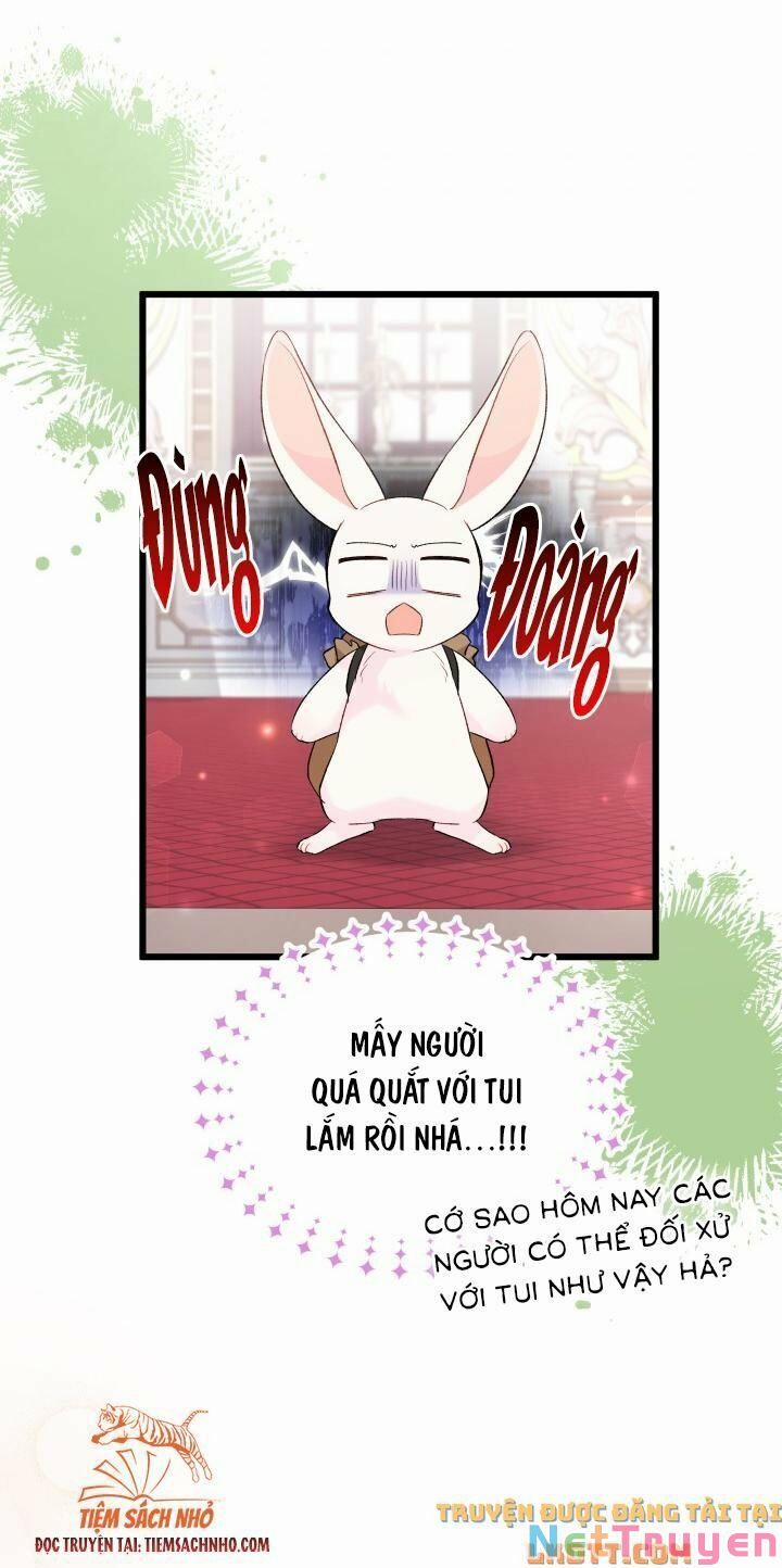 Quan Hệ Cộng Sinh Giữa Hắc Báo Và Bạch Thỏ 59 trang 31