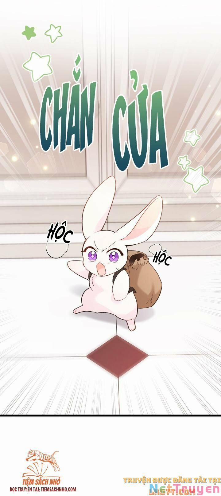 Quan Hệ Cộng Sinh Giữa Hắc Báo Và Bạch Thỏ 59 trang 33