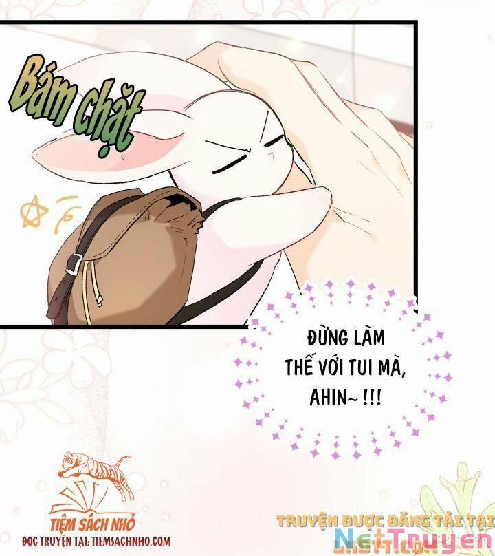 Quan Hệ Cộng Sinh Giữa Hắc Báo Và Bạch Thỏ 59 trang 37