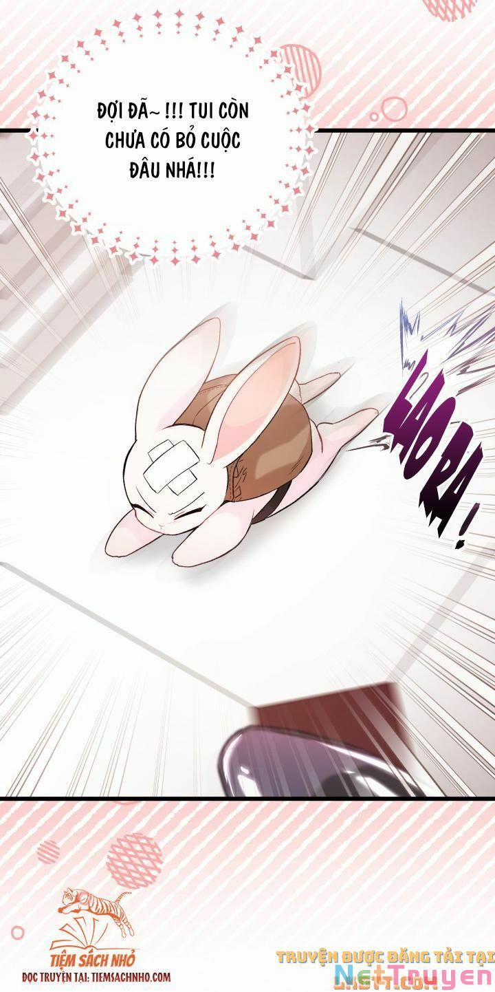 Quan Hệ Cộng Sinh Giữa Hắc Báo Và Bạch Thỏ 59 trang 42