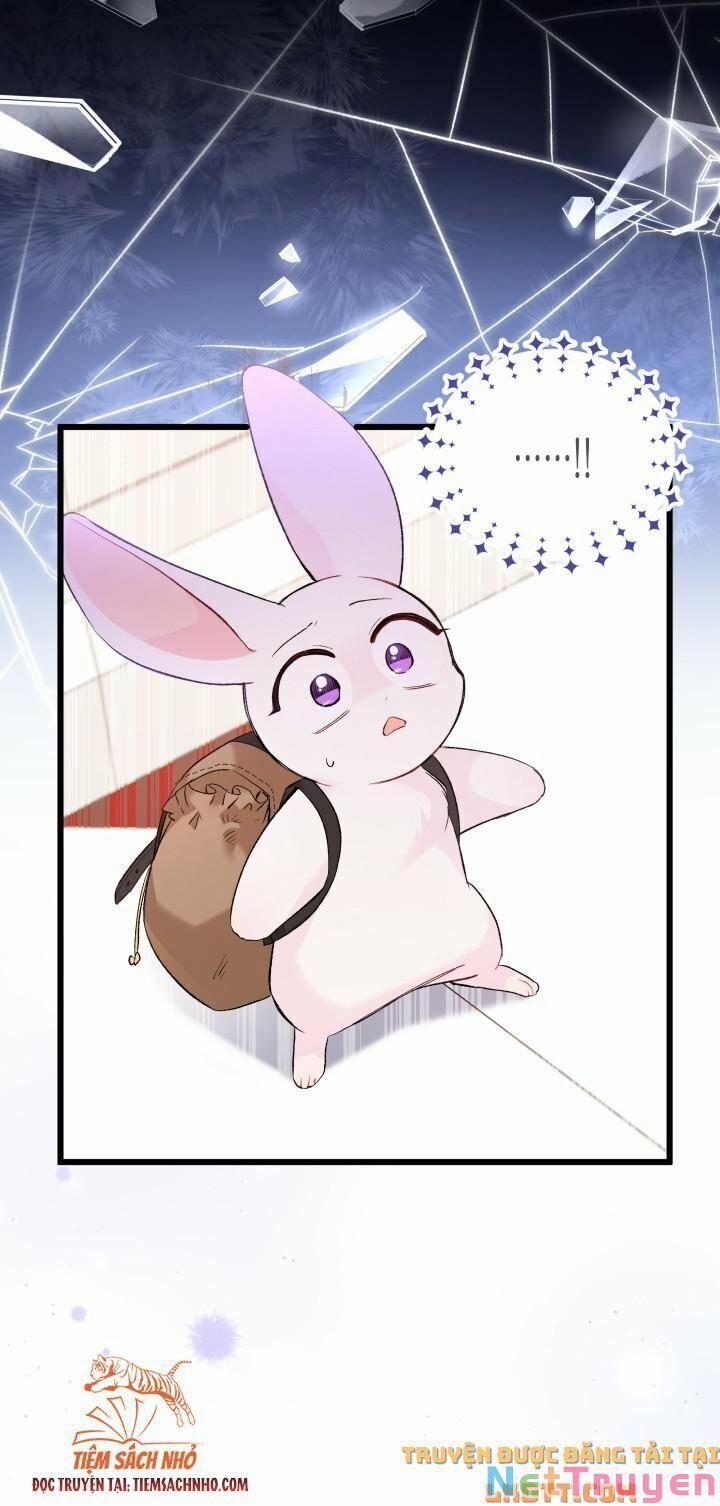 Quan Hệ Cộng Sinh Giữa Hắc Báo Và Bạch Thỏ 59 trang 47