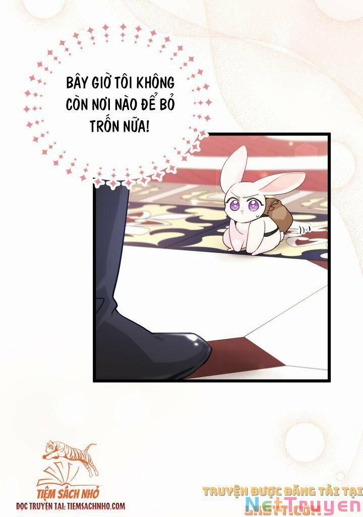 Quan Hệ Cộng Sinh Giữa Hắc Báo Và Bạch Thỏ 59 trang 50