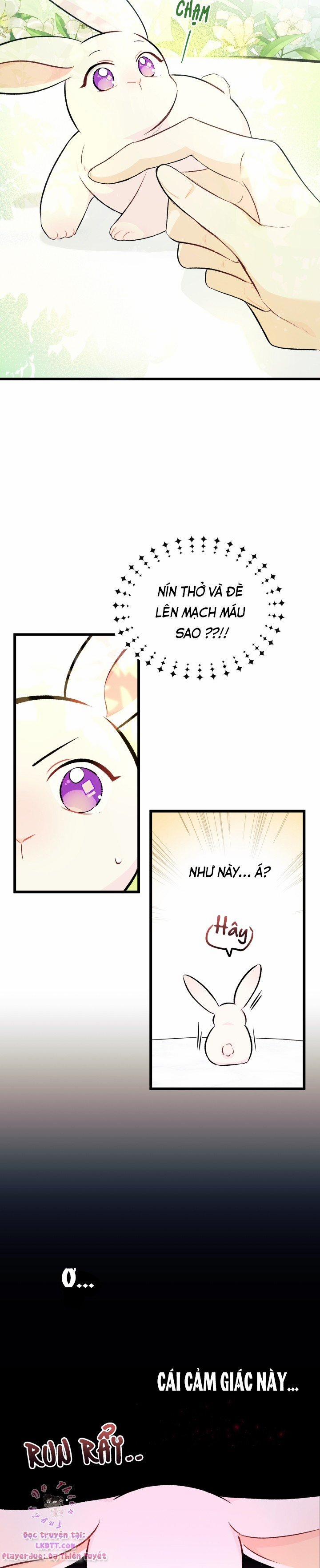 Quan Hệ Cộng Sinh Giữa Hắc Báo Và Bạch Thỏ 6 trang 7