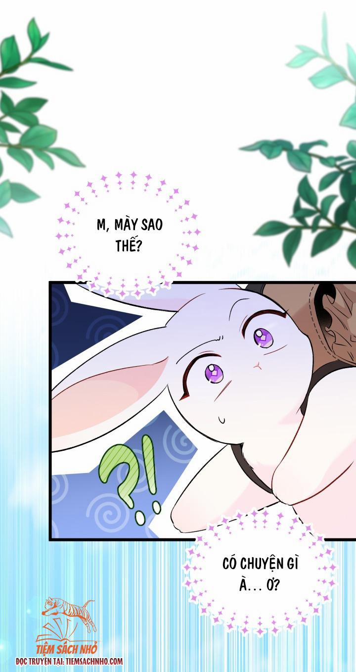 Quan Hệ Cộng Sinh Giữa Hắc Báo Và Bạch Thỏ 60.5 trang 5