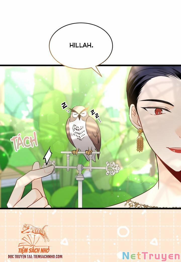 Quan Hệ Cộng Sinh Giữa Hắc Báo Và Bạch Thỏ 61 trang 14