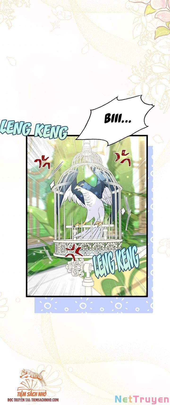 Quan Hệ Cộng Sinh Giữa Hắc Báo Và Bạch Thỏ 61 trang 2