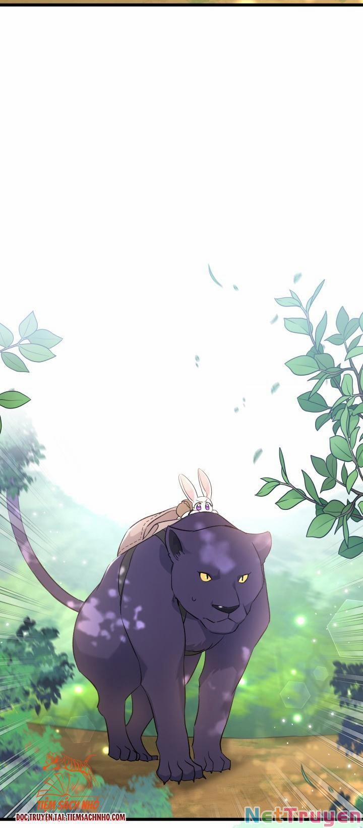 Quan Hệ Cộng Sinh Giữa Hắc Báo Và Bạch Thỏ 61 trang 25