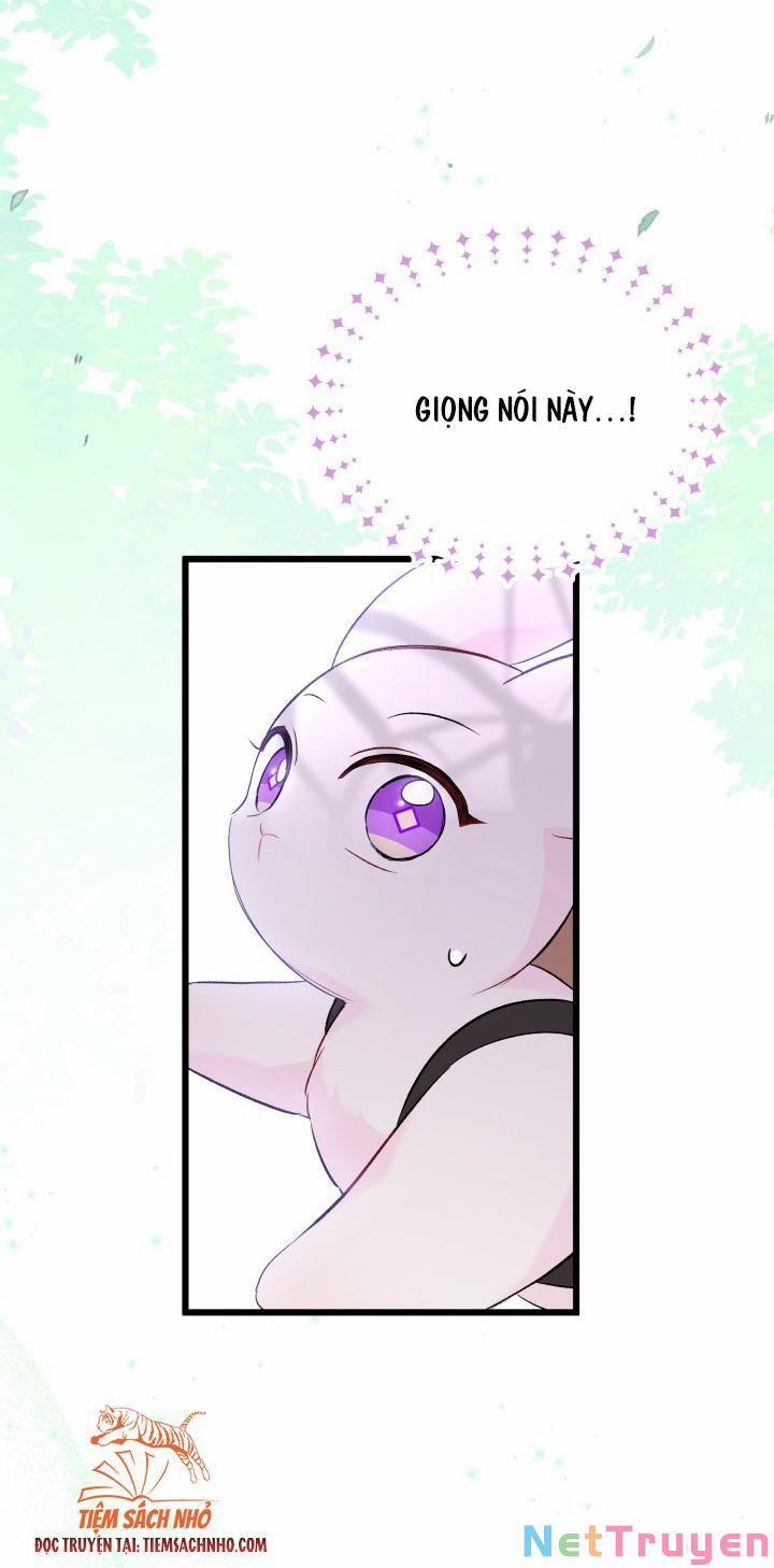 Quan Hệ Cộng Sinh Giữa Hắc Báo Và Bạch Thỏ 61 trang 34