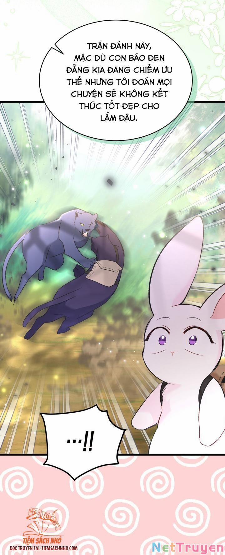 Quan Hệ Cộng Sinh Giữa Hắc Báo Và Bạch Thỏ 61 trang 40