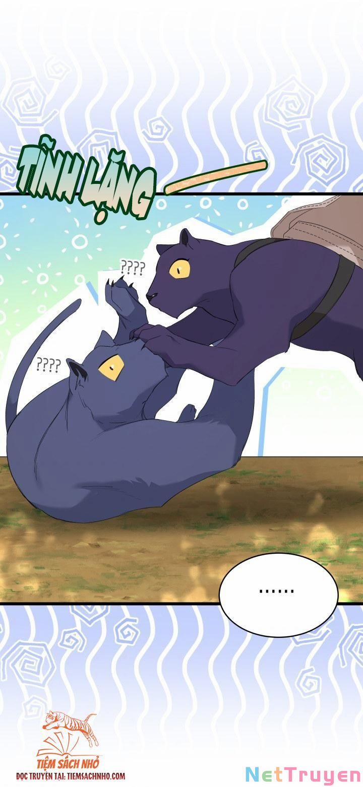 Quan Hệ Cộng Sinh Giữa Hắc Báo Và Bạch Thỏ 61 trang 57