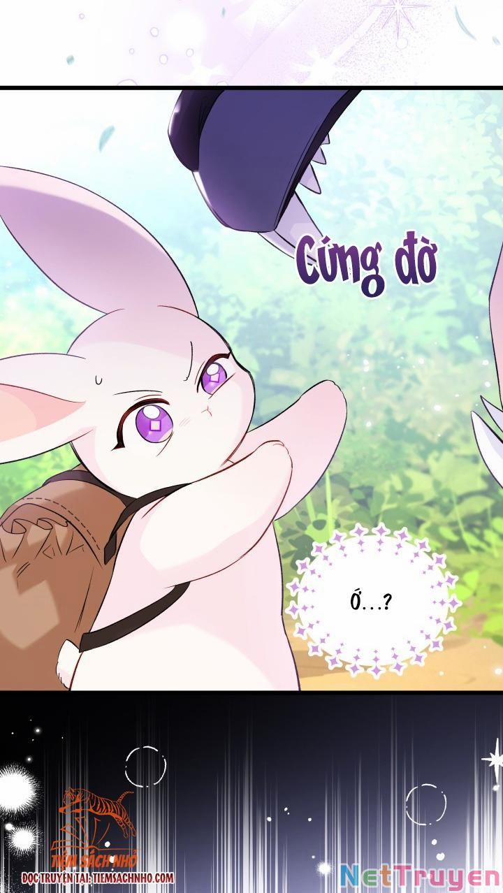 Quan Hệ Cộng Sinh Giữa Hắc Báo Và Bạch Thỏ 61 trang 66