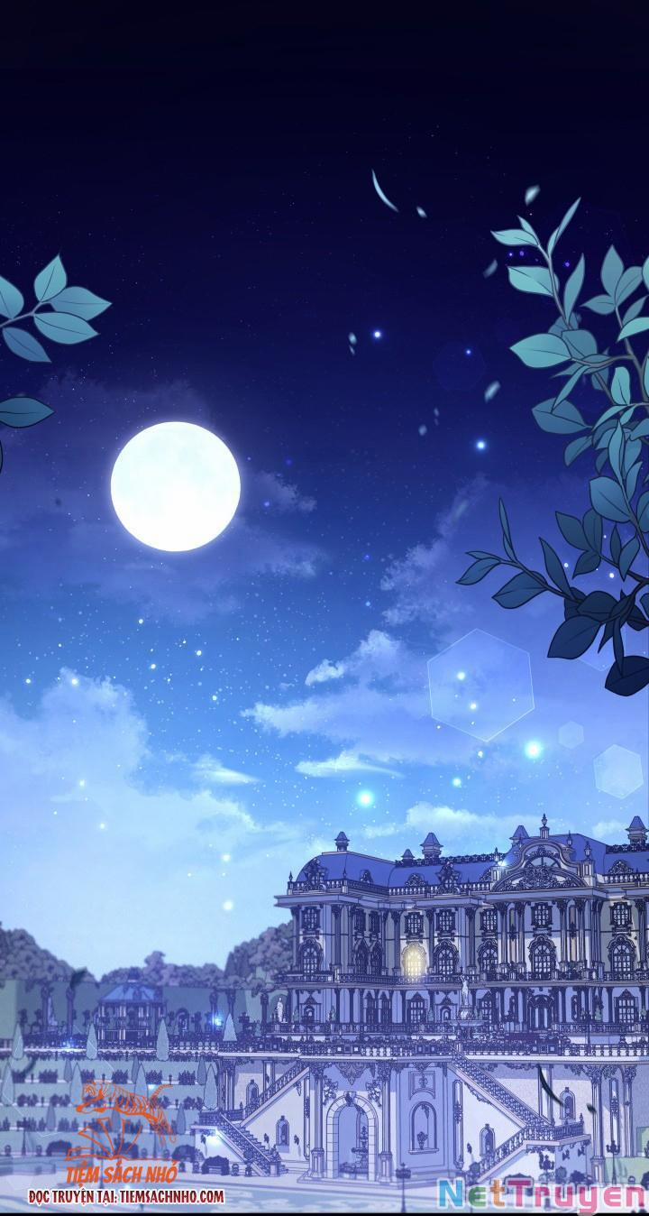 Quan Hệ Cộng Sinh Giữa Hắc Báo Và Bạch Thỏ 63 trang 1