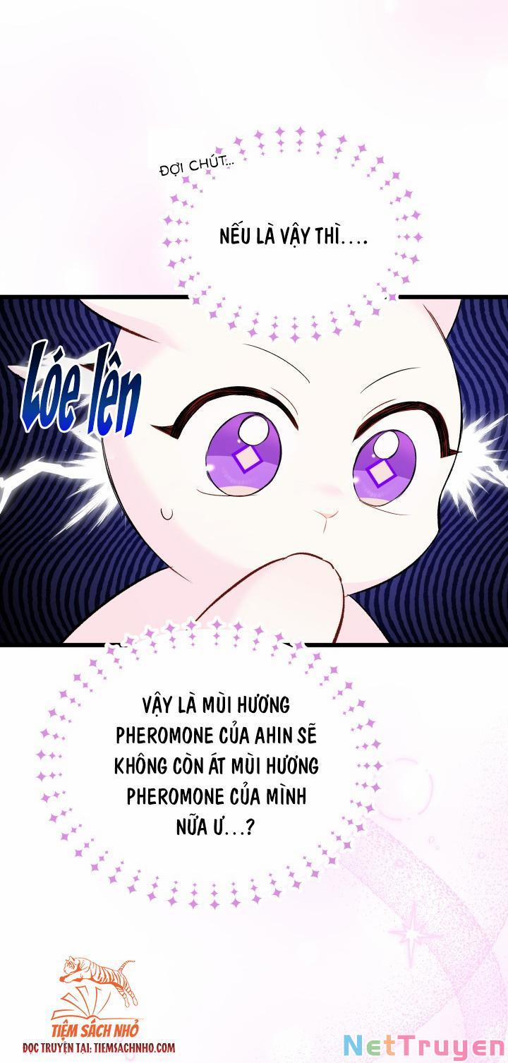 Quan Hệ Cộng Sinh Giữa Hắc Báo Và Bạch Thỏ 63 trang 11