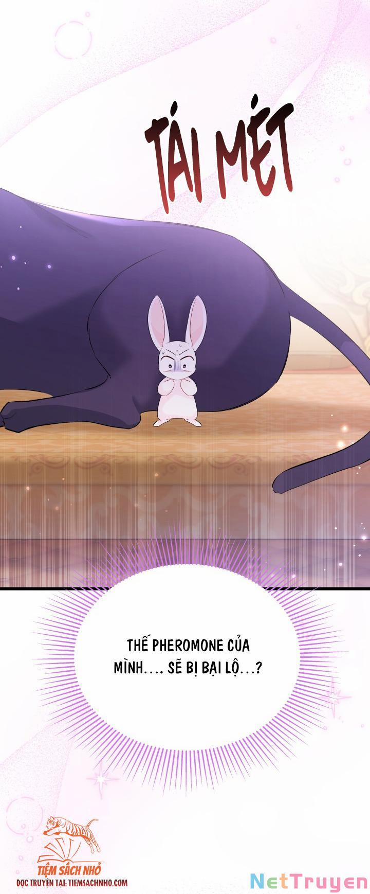 Quan Hệ Cộng Sinh Giữa Hắc Báo Và Bạch Thỏ 63 trang 12