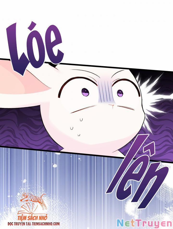 Quan Hệ Cộng Sinh Giữa Hắc Báo Và Bạch Thỏ 63 trang 29