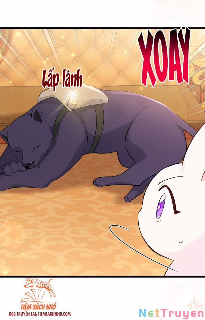 Quan Hệ Cộng Sinh Giữa Hắc Báo Và Bạch Thỏ 63 trang 38