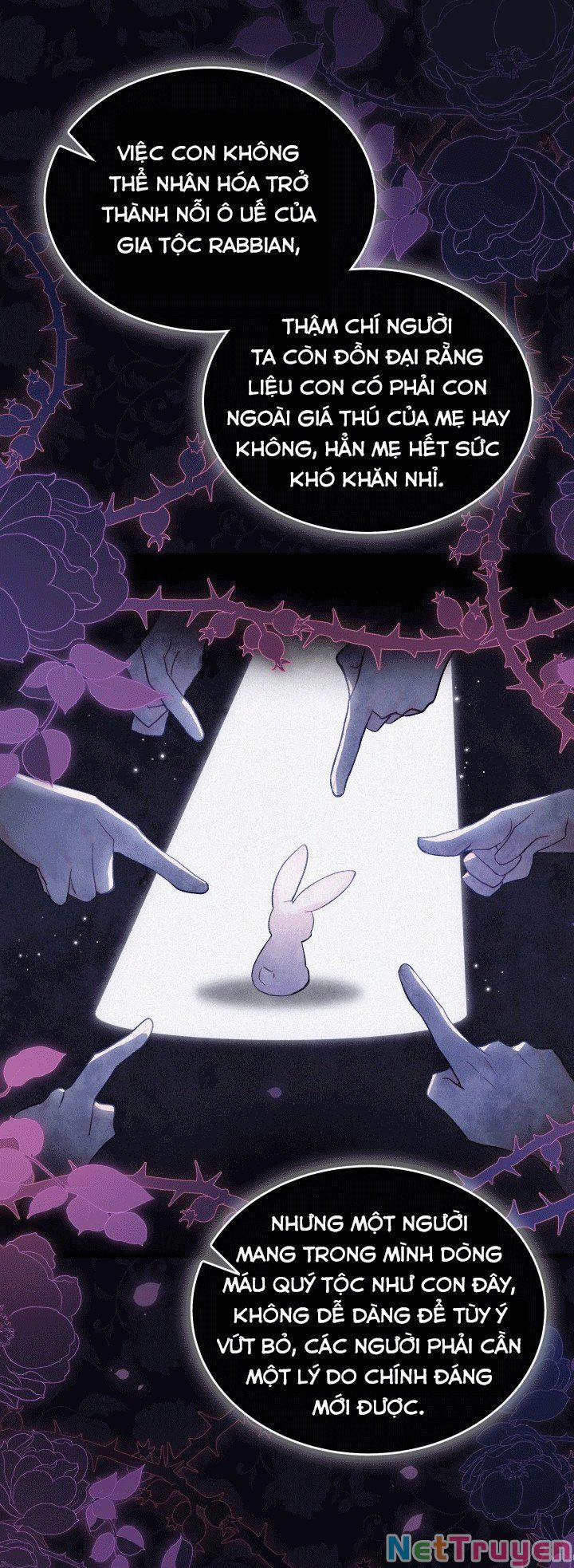 Quan Hệ Cộng Sinh Giữa Hắc Báo Và Bạch Thỏ 67 trang 32