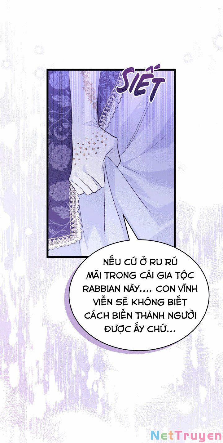 Quan Hệ Cộng Sinh Giữa Hắc Báo Và Bạch Thỏ 67 trang 48